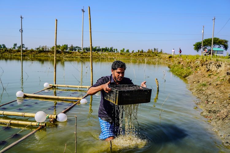 Hooked on Sustainability: This Bangladesh Project Aims to Make Aquaculture Better for Farmers and the Planet