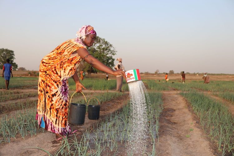 What Happens When Communities Turn to Nature to Fight the Effects of Drought?