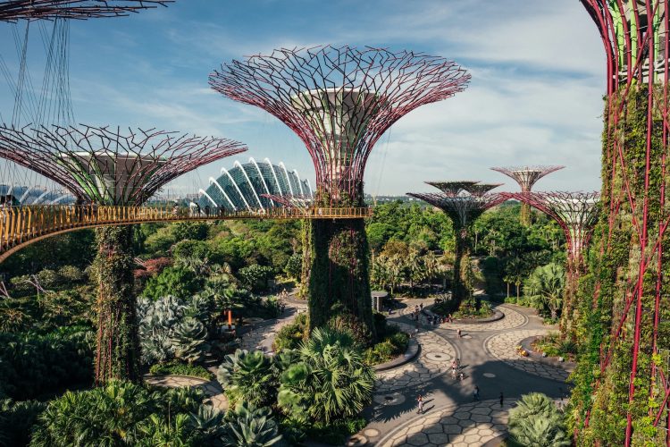 Growing Greenery: The Rise of Urban Green Space – TriplePundit