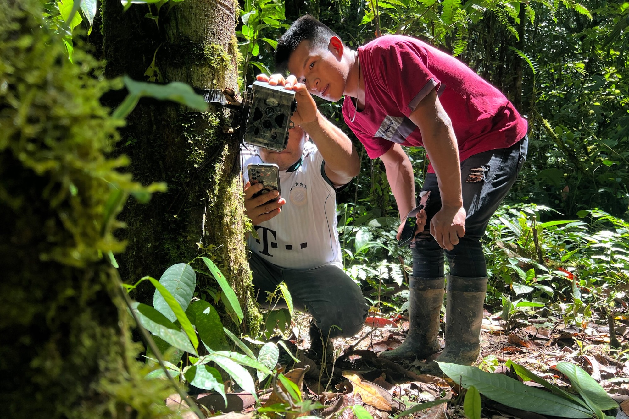 TriplePundit • In the Fight to Defend the Amazon, This Indigenous
