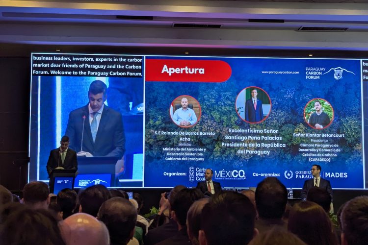 Money Trees: Paraguay’s Carbon Market Strategy Comes into Focus