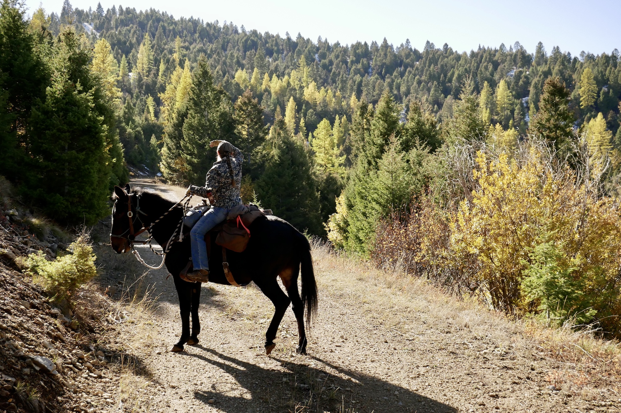 TriplePundit • The Return of the Range Rider