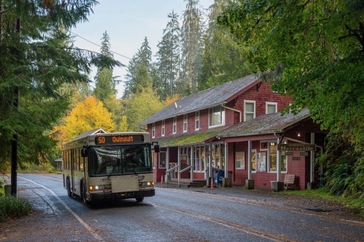 Free Public Transit Is Trending in Rural Washington