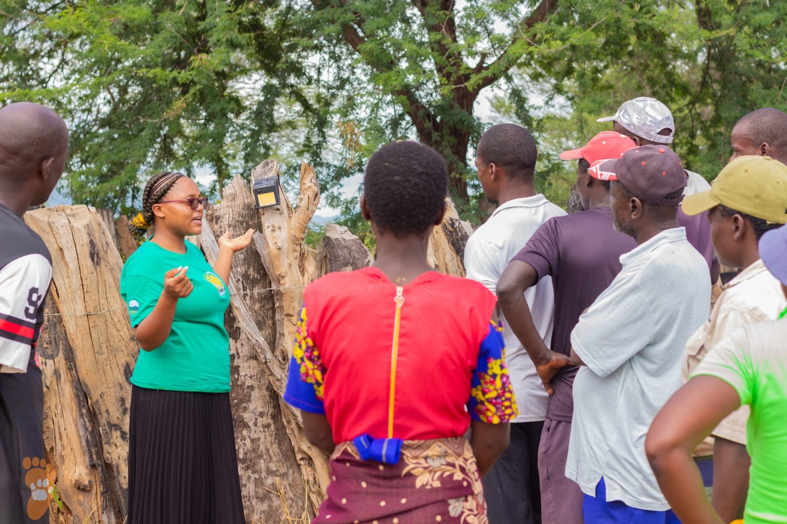 As Human-Wildlife Conflict Rises, Zimbabwean Communities Find New Ways to Coexist