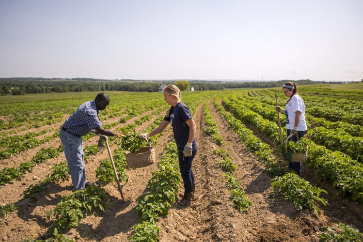 TriplePundit • Planned USDA Restructuring Will Hurt Farmers Already at the Brink, Advocates Say